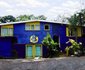 Mad Hatters Lodge and Backpackers