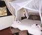 Chengeta Safari Lodge
