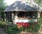 Tea in the Trees Bed and Breakfast
