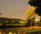 Pecan Grove Bed and Breakfast