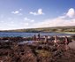 Four Seasons Resort Lana'i