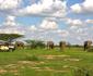 Lake Manyara Ranch Tented Camp