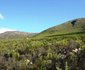 Rooiheuwel-Noord Accommodation