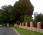 Dibelzo's Bed and Breakfast