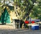 El-Fari Bush Camp