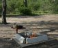 El-Fari Bush Camp