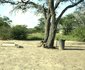 El-Fari Bush Camp