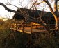 Tshulu Wilderness Camp