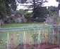 Bettina Executive Guest Lodge
