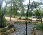 Tshulu Tsha Nabe Country Lodge - Gweru