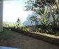 Bonamic 5
