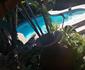 Alsimode Guest House