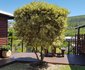 The Cabin@103 Knysna