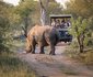Tshukudu Safaris - Marula Camp