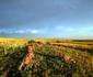 O Live Life Guest House - La Rochelle Farm