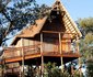 Bona Ntaba Tree House Lodge