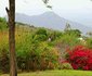 Overwin Lodge