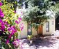 Siloam Cottages