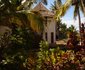 Le Jardin De La Mangrove