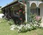 Green Door Guest Cottage - Loop Street
