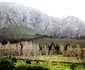 Paradyskloof Guest House