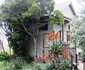 Aloe Cottage