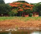Bushbaby Lodge and Camping