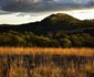 Thwane Bush Camp