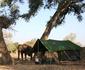 Tailormade Safaris- Mana Pools