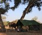 Tailormade Safaris- Hwange