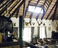 Ivy Safaris Thaba Lodge