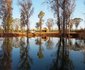 Bernally's Fishing Lodge