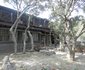 Bateleur Bush Lodge