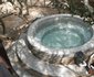 Bateleur Bush Lodge
