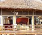 Elewana Collection - Tarangire Treetops