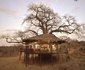 Elewana Collection - Tarangire Treetops