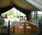 The Anasa Safari Collection - Kisima Ngeda Tented Camp