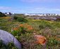 Ver Weg / Far Away Self-catering Apartments