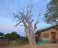Sentrim Tsavo East