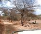 Ndarakwai Camp