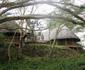 Kigio Wildlife Camp