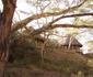 Kigio Wildlife Camp