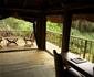 Kigio Wildlife Camp