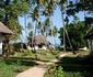 Simba and Oryx Diani Beach Cottages