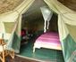 Kitandara Bwindi Tented Camp