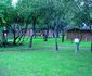 The Royal Gecko Bushveld Lodge