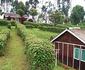 Muchiri's Resort