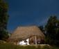 Wami River Bush Retreat (Kisampa)