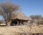 Whistling Thorn Tented Camp
