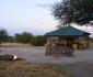 Whistling Thorn Tented Camp